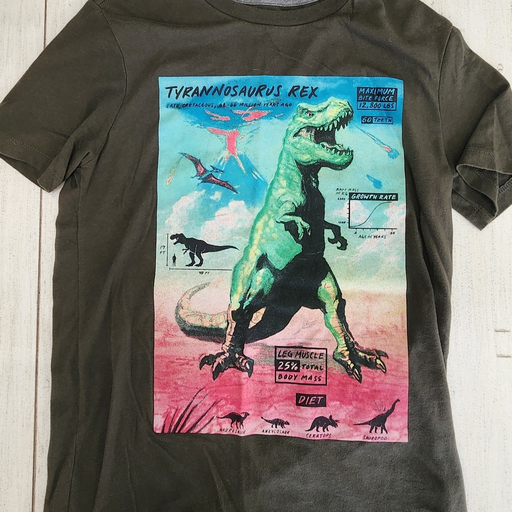 Old Navy Tyrannosaurus Rex Graphic Kids T-Shirt - Olive